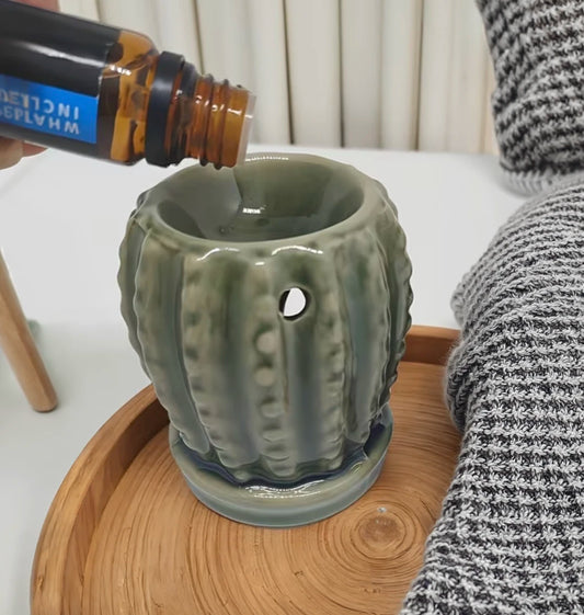 Difusor de cerámica cactus para aceites esenciales diseño decorativo Eternaluz