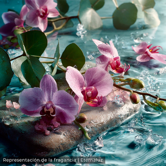 La voz del oceano, sal marina orquidea aroma fresco relajante eternaluz