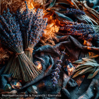 Slytherin con aroma a ámbar egipcio, lavanda francesa, mirra, haba tonka y almizcle, inspirados en la ambición, la astucia y la magia de Hogwarts.