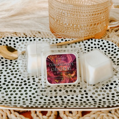 Wax melts inspirados en Cassian, guerrero de la Corte Noche. Aroma cálido y especiado con brasas, ámbar y almizcle. Intensidad alta. Para quienes aman el fuego del deber y la pasión.