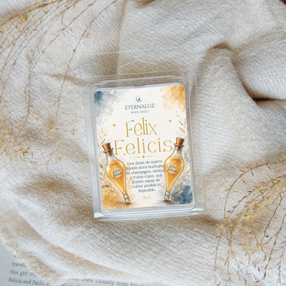 Wax melts Felix Felicis con champagne, cítricos y frutos rojos, inspirados en la suerte líquida de Harry Potter