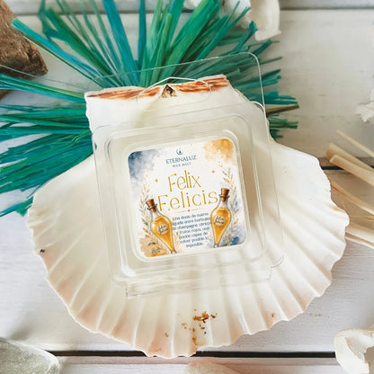 Wax melts Felix Felicis con champagne, cítricos y frutos rojos, inspirados en la suerte líquida de Harry Potter
