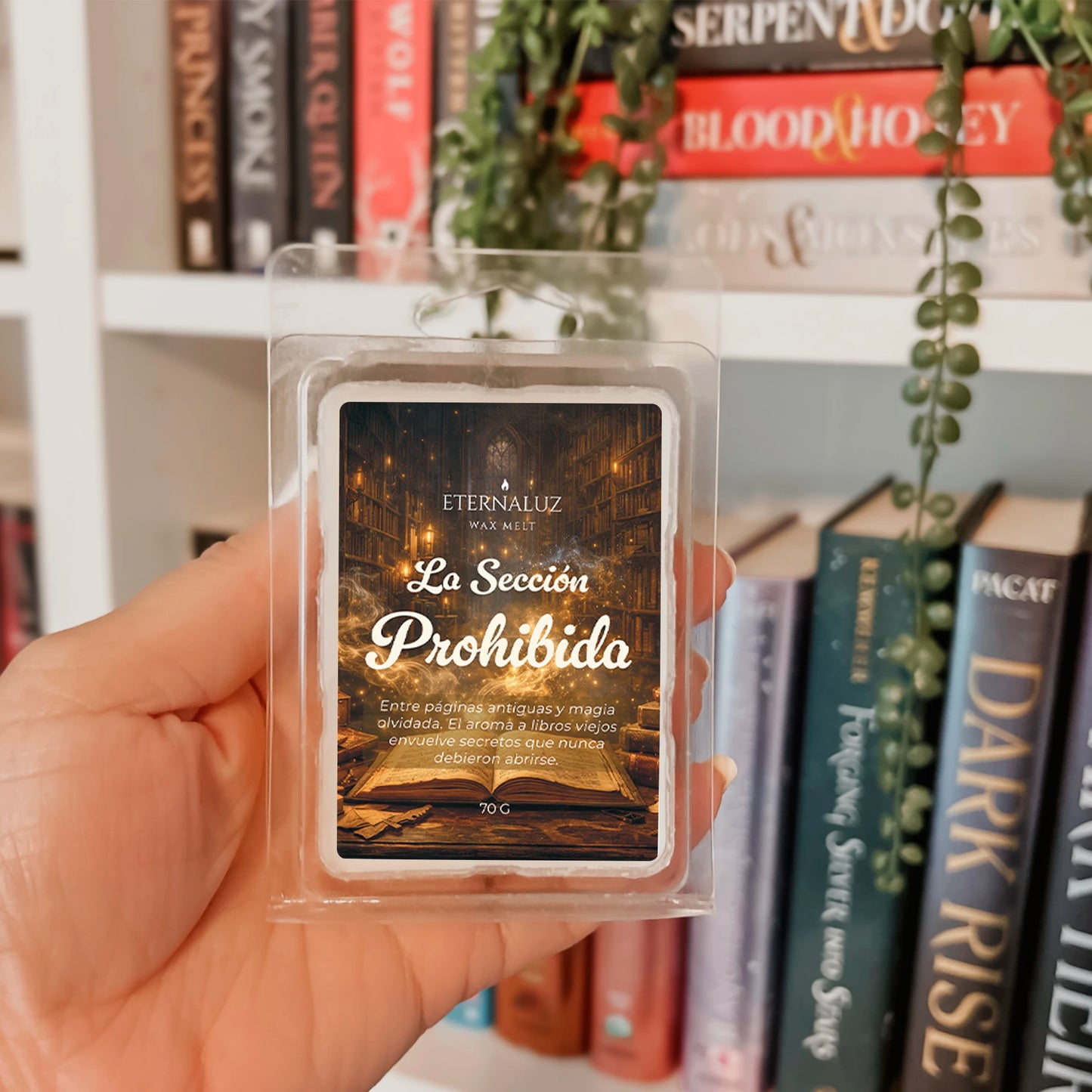 Wax melt Sección Prohibida con aroma a libros antiguos, cuero y madera inspirados en bibliotecas mágicas.
