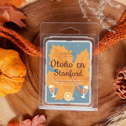 Wax melt inspirado en La hipótesis del amor con aroma a pumpkin spice latte, café y especias otoñales.