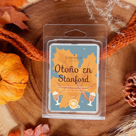 Wax melt inspirado en La hipótesis del amor con aroma a pumpkin spice latte, café y especias otoñales.