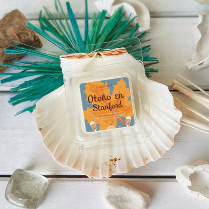 Wax melt inspirado en La hipótesis del amor con aroma a pumpkin spice latte, café y especias otoñales.