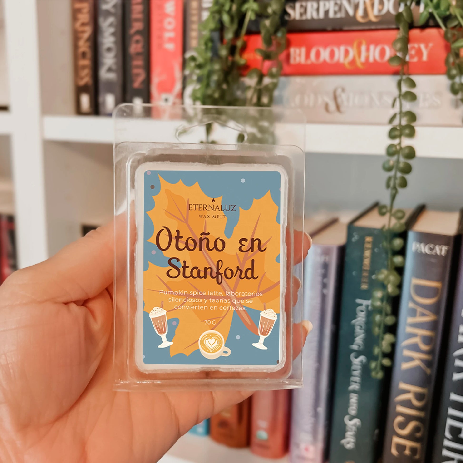Wax melt inspirado en La hipótesis del amor con aroma a pumpkin spice latte, café y especias otoñales.