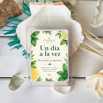 Wax melts Un día a la vez con aroma fresco a menta, bergamota, jazmín y eucalipto para crear una atmósfera de calma