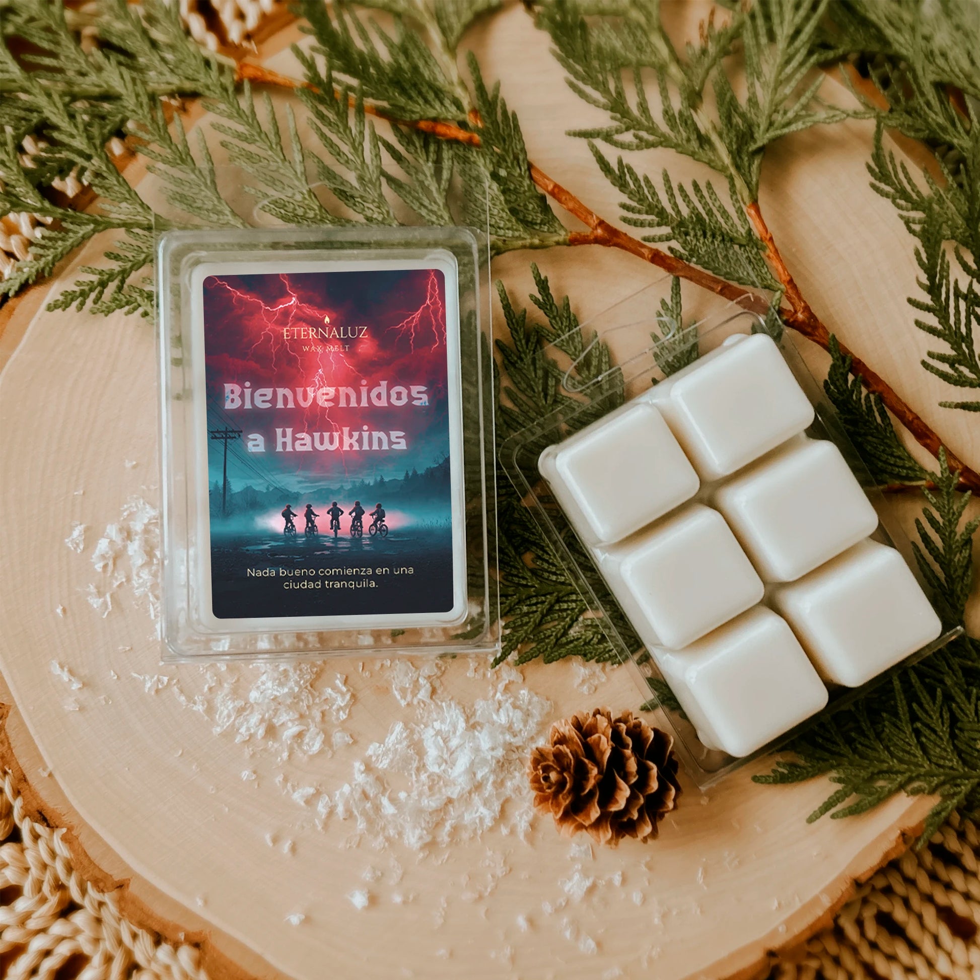 Wax melt inspirado en Stranger Things con aroma a bosque húmedo, ozono y musgo de roble, junto a bicicleta vintage.